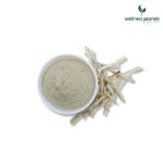 Shatavari powder