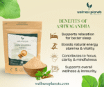Ashwagandha Powder - Image 3