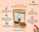 Mixed Quinoa - Image 3